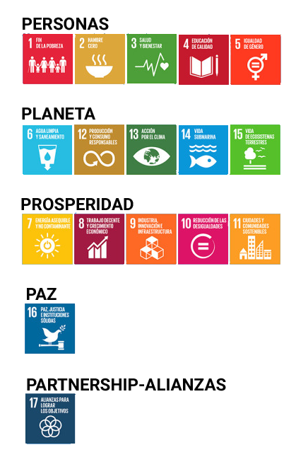 imagen con los ODS de cada una de Las 5P